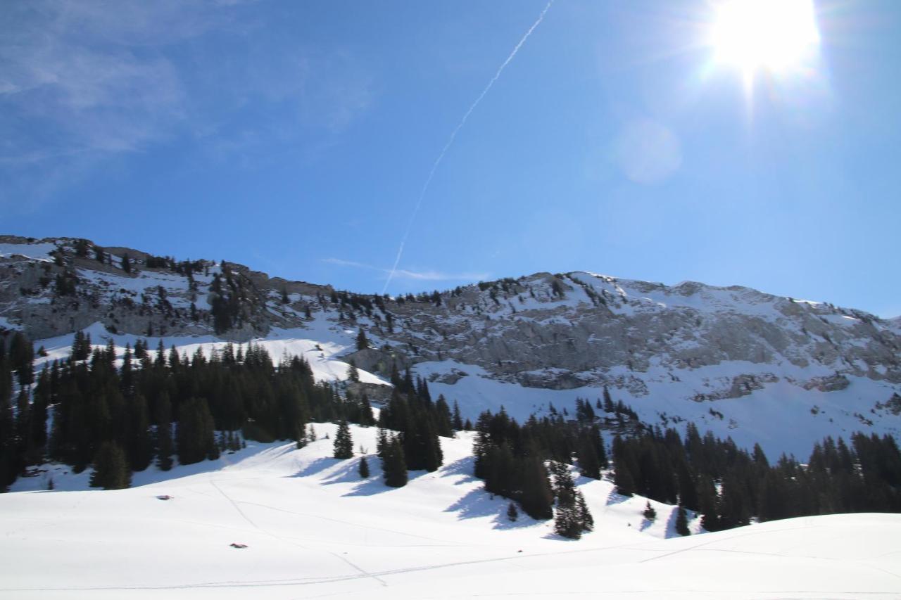 Logement Entre Lac Et Montagnes Thônes Екстериор снимка